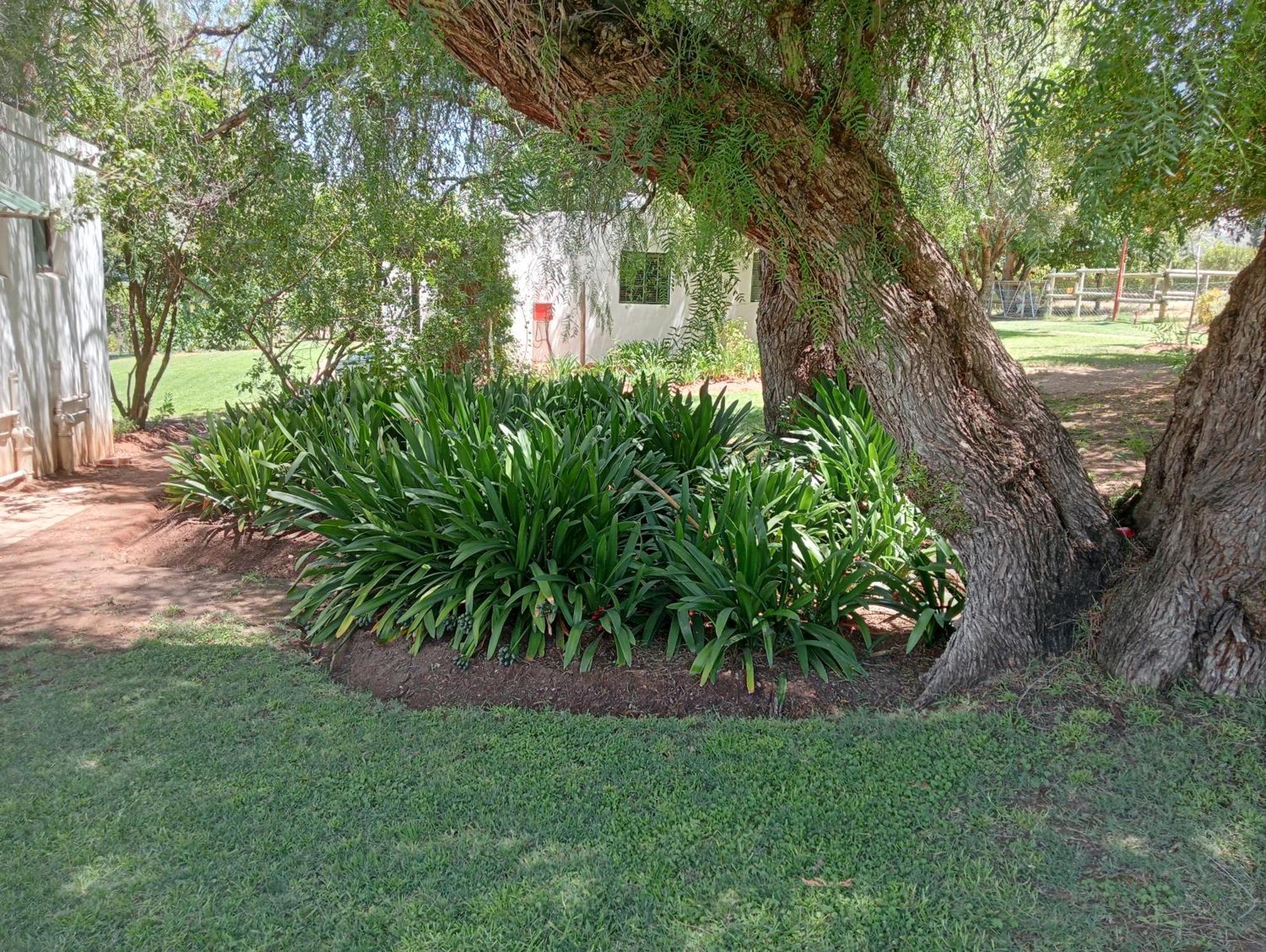 Kranskloof Country Lodge Oudtshoorn Extérieur photo