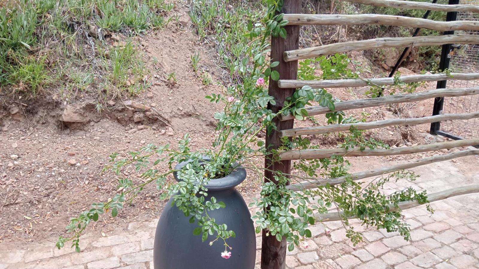 Kranskloof Country Lodge Oudtshoorn Extérieur photo