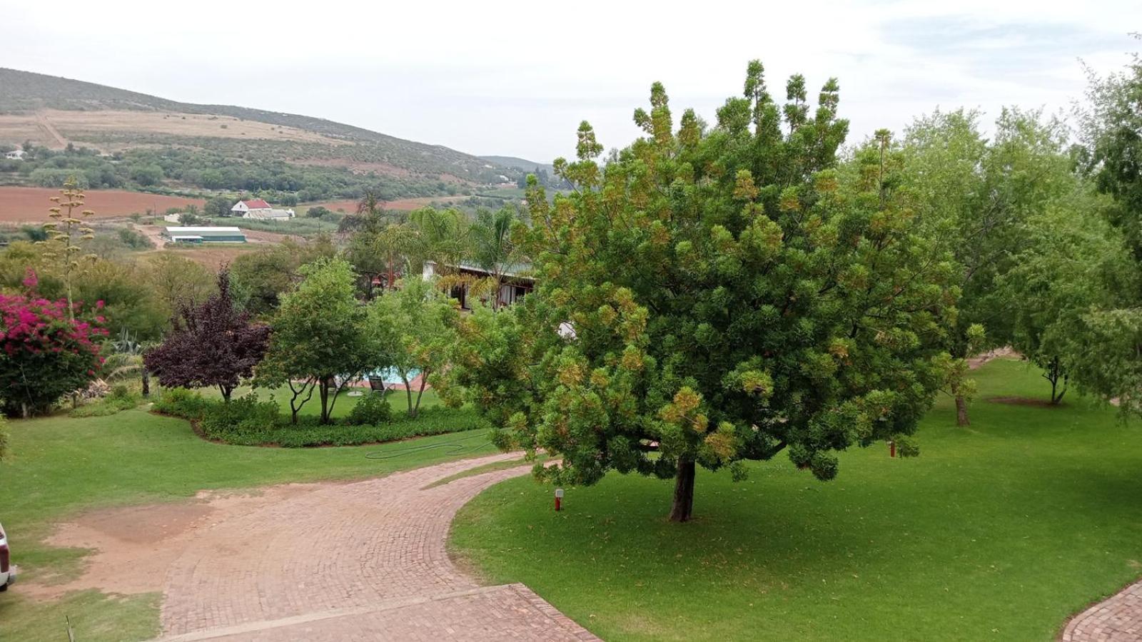 Kranskloof Country Lodge Oudtshoorn Extérieur photo