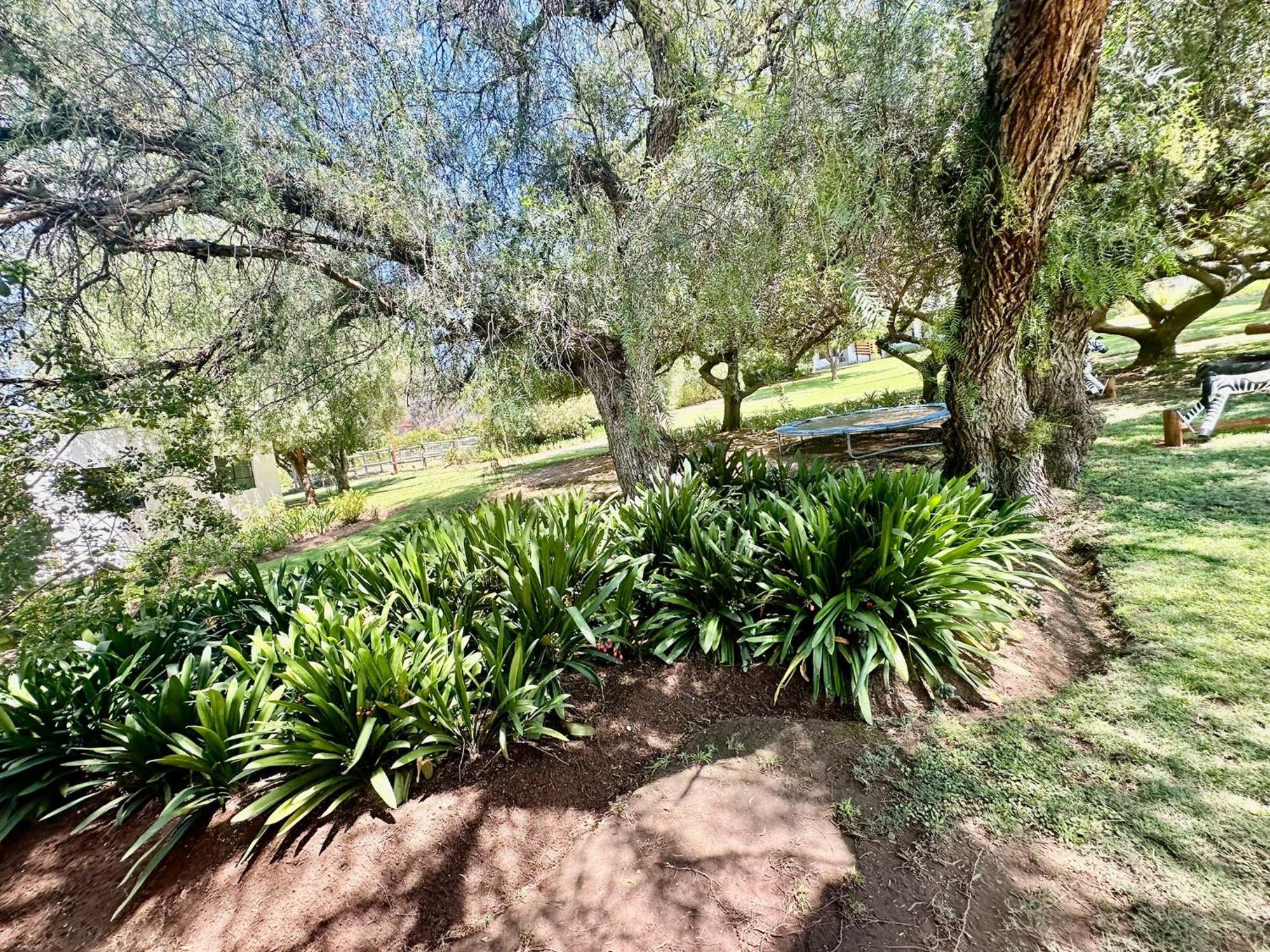 Kranskloof Country Lodge Oudtshoorn Extérieur photo